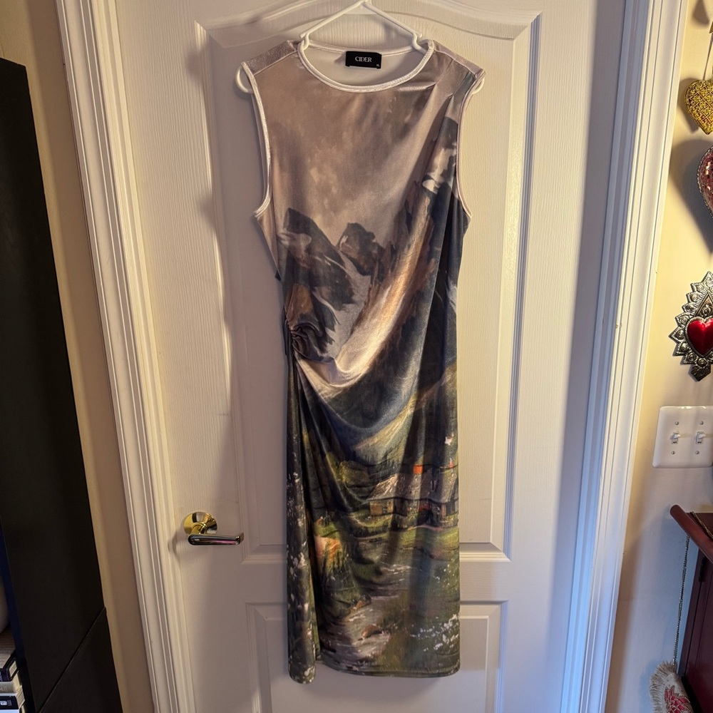 Cider velvet Scenic Print Dress - XL- worn once!